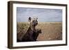 Spotted Hyena Pup-null-Framed Photographic Print