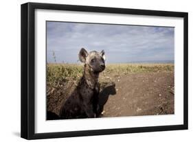 Spotted Hyena Pup-null-Framed Photographic Print