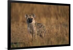 Spotted Hyena Pup-null-Framed Photographic Print