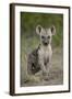 Spotted Hyena (Spotted Hyaena) (Crocuta Crocuta) Cub, Kruger National Park, South Africa, Africa-James Hager-Framed Photographic Print