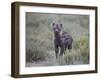 Spotted Hyena (Spotted Hyaena) (Crocuta Crocuta) Juvenile-James Hager-Framed Photographic Print