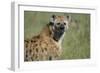 Spotted Hyena Standing in Grass-Paul Souders-Framed Photographic Print