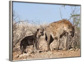 Spotted Hyena With Cub, South Africa, Africa-Ann & Steve Toon-Framed Photographic Print