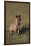 Spotted Hyena-DLILLC-Framed Premium Photographic Print