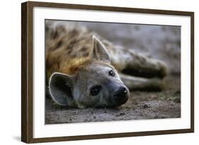 Spotted Hyena-Paul Souders-Framed Photographic Print