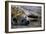 Spotted Hyena-Paul Souders-Framed Photographic Print