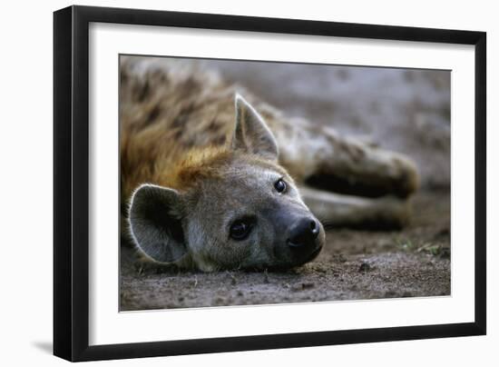 Spotted Hyena-Paul Souders-Framed Photographic Print