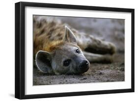 Spotted Hyena-Paul Souders-Framed Photographic Print