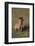 Spotted Hyena-DLILLC-Framed Photographic Print