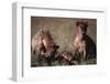 Spotted Hyenas Feeding on Carcass-DLILLC-Framed Premium Photographic Print