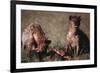 Spotted Hyenas Feeding on Carcass-DLILLC-Framed Photographic Print