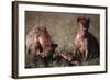 Spotted Hyenas Feeding on Carcass-DLILLC-Framed Photographic Print