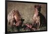 Spotted Hyenas Feeding on Carcass-DLILLC-Framed Photographic Print