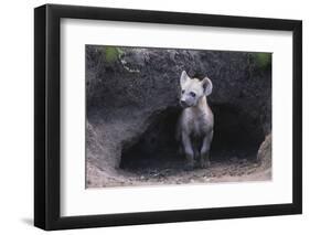 Spotted Hyenas Looking out from Den-DLILLC-Framed Premium Photographic Print