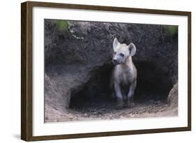 Spotted Hyenas Looking out from Den-DLILLC-Framed Photographic Print