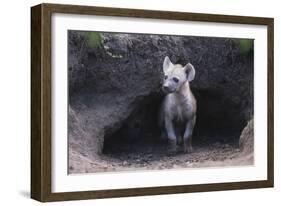 Spotted Hyenas Looking out from Den-DLILLC-Framed Photographic Print