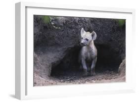 Spotted Hyenas Looking out from Den-DLILLC-Framed Photographic Print