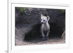 Spotted Hyenas Looking out from Den-DLILLC-Framed Photographic Print