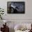 Spotted Moray Eel (Gymnothorax Moringa)-Stephen Frink-Framed Photographic Print displayed on a wall