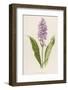 Spotted Orchis-F. Edward Hulme-Framed Photographic Print