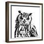 Spotted Owl-Sasha-Framed Giclee Print