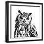 Spotted Owl-Sasha-Framed Giclee Print