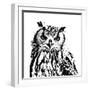 Spotted Owl-Sasha-Framed Giclee Print