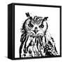 Spotted Owl-Sasha-Framed Stretched Canvas