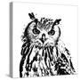 Spotted Owl-Sasha-Stretched Canvas