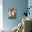 Spotted Piglet in Grass and Pink Petunias, Dekalb, Illinois, USA-Lynn M^ Stone-Photographic Print displayed on a wall