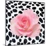 Spotted Rose 2-Kimberly Allen-Mounted Art Print