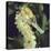 Spotted Seahorse Light Colour Phase, Head Portrait, from Indo-Pacific-Jane Burton-Stretched Canvas