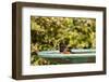 Spotted Towhee at the Backyard Bird Bath-Michael Qualls-Framed Photographic Print