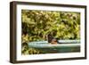 Spotted Towhee at the Backyard Bird Bath-Michael Qualls-Framed Photographic Print