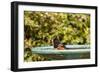Spotted Towhee at the Backyard Bird Bath-Michael Qualls-Framed Photographic Print