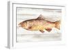 Spotted Trout I-Annie Warren-Framed Art Print