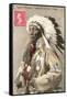 Spotted Weasel, Ecureuil Tachete, Plains Chief-null-Framed Stretched Canvas