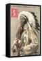 Spotted Weasel, Ecureuil Tachete, Plains Chief-null-Framed Stretched Canvas