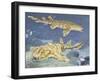 Spotted Wobbegong (Orectolobus Maculatus), Orectolobidae-null-Framed Giclee Print