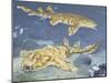 Spotted Wobbegong (Orectolobus Maculatus), Orectolobidae-null-Mounted Giclee Print