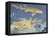 Spotted Wobbegong (Orectolobus Maculatus), Orectolobidae-null-Framed Stretched Canvas