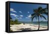 Spotts Beach, Grand Cayman, Cayman Islands, West Indies, Caribbean, Central America-Sergio Pitamitz-Framed Stretched Canvas