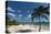 Spotts Beach, Grand Cayman, Cayman Islands, West Indies, Caribbean, Central America-Sergio Pitamitz-Stretched Canvas