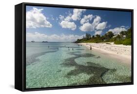 Spotts Beach, Grand Cayman, Cayman Islands, West Indies, Caribbean, Central America-Sergio Pitamitz-Framed Stretched Canvas