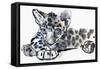 Spotty (Arabian Leopard Cub), 2008-Mark Adlington-Framed Stretched Canvas