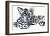 Spotty (Arabian Leopard Cub), 2008-Mark Adlington-Framed Giclee Print