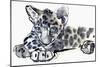 Spotty (Arabian Leopard Cub), 2008-Mark Adlington-Mounted Giclee Print