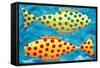 Spotty Fish, 1998-Julie Nicholls-Framed Stretched Canvas
