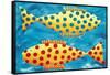 Spotty Fish, 1998-Julie Nicholls-Framed Stretched Canvas