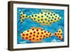 Spotty Fish, 1998-Julie Nicholls-Framed Giclee Print